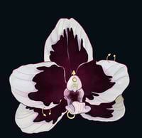 Orchid Sticker