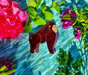 Image of Gorilla Gorilla