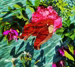 Image of Gorilla Gorilla