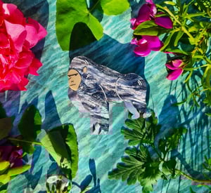 Image of Gorilla Gorilla