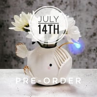 PRE-ORDER for Carly. Shipped by July 14th.
