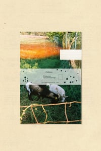 Libreta Paseo