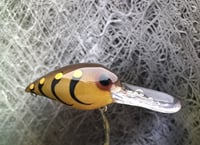 Image 2 of SPEEDBAITS Custom Airbrushed RAPALA WIGGLE WART CLONE PRO CRAW