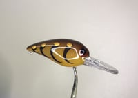 Image 3 of SPEEDBAITS Custom Airbrushed RAPALA WIGGLE WART CLONE PRO CRAW