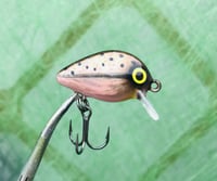 Image 1 of SPEEDBAITS Custom Airbrushed Crankbait BFS
