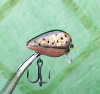 Image 2 of SPEEDBAITS Custom Airbrushed Crankbait BFS