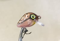Image 4 of SPEEDBAITS Custom Airbrushed Crankbait BFS