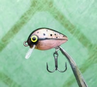 Image 3 of SPEEDBAITS Custom Airbrushed Crankbait BFS