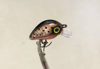 Image 5 of SPEEDBAITS Custom Airbrushed Crankbait BFS