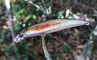 Image 4 of SPEEDBAITS Custom Airbrushed Jerkbait