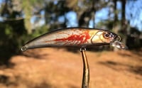 Image 1 of SPEEDBAITS Custom Airbrushed Jerkbait