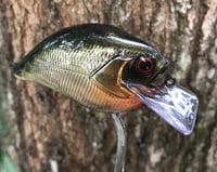 Image 1 of SPEEDBAITS Custom Airbrushed S-CRANK 1.5 Squarebill Crankbait V1