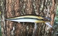 Image 1 of SPEEDBAITS Custom Airbrushed Jerkbait TA 110 Livebait 