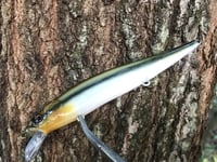 Image 3 of SPEEDBAITS Custom Airbrushed Jerkbait TA 110 Livebait 