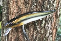 Image 5 of SPEEDBAITS Custom Airbrushed Jerkbait TA 110 Livebait 