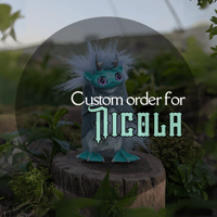 Custom Order for Nicola