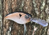 Image 1 of SPEEDBAITS Custom Airbrushed Evergreen Combat Crank CLONE Crankbait
