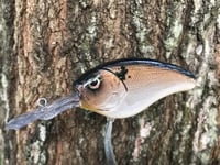 Image 2 of SPEEDBAITS Custom Airbrushed Evergreen Combat Crank CLONE Crankbait