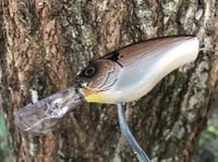 Image 3 of SPEEDBAITS Custom Airbrushed Evergreen Combat Crank CLONE Crankbait