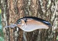 Image 4 of SPEEDBAITS Custom Airbrushed Evergreen Combat Crank CLONE Crankbait