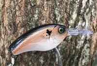 Image 5 of SPEEDBAITS Custom Airbrushed Evergreen Combat Crank CLONE Crankbait