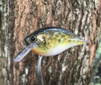 Image 1 of SPEEDBAITS Custom Airbrushed Lucky Craft 2.5 Squarebill CLONE 