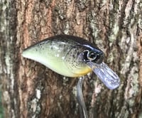 Image 1 of SPEEDBAITS Custom Airbrushed Lucky Craft 2.5 Squarebill CLONE V2