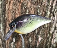 Image 2 of SPEEDBAITS Custom Airbrushed Lucky Craft 2.5 Squarebill CLONE V2