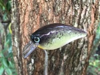 Image 5 of SPEEDBAITS Custom Airbrushed Lucky Craft 2.5 Squarebill CLONE V2