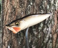 Image 4 of SPEEDBAITS Custom Airbrushed Topwater Popper BONE2