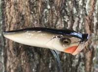 Image 5 of SPEEDBAITS Custom Airbrushed Topwater Popper BONE2