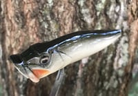 Image 4 of SPEEDBAITS Custom Airbrushed Topwater Popper BONE3