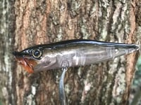 Image 2 of SPEEDBAITS Custom Airbrushed Topwater Popper V2