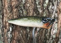 Image 2 of SPEEDBAITS Custom Airbrushed Topwater Popper G1