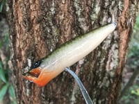 Image 3 of SPEEDBAITS Custom Airbrushed Topwater Popper G1