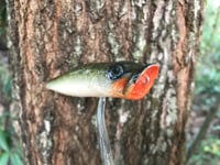 Image 5 of SPEEDBAITS Custom Airbrushed Topwater Popper G1
