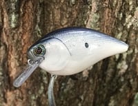 Image 1 of SPEEDBAITS Custom Airbrushed Lucky Craft 2.5 Squarebill CLONE I
