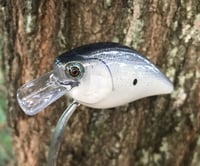 Image 5 of SPEEDBAITS Custom Airbrushed Lucky Craft 2.5 Squarebill CLONE I