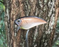 Image 1 of SPEEDBAITS Custom Airbrushed FLATSIDE WAKEBAIT SUPERTUNED BFS F1