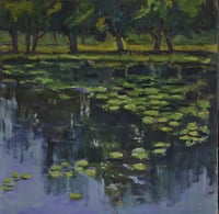 Lily Pond