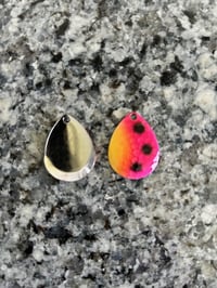 Lady Bug