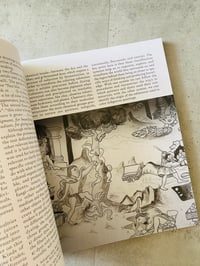 Image 2 of IXIPTLA#05 – Amarantus