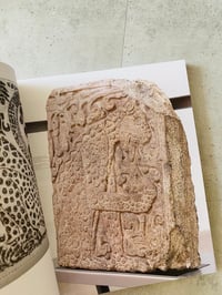 Image 4 of IXIPTLA#05 – Amarantus
