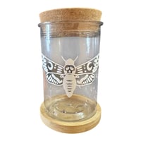 Image 1 of Death Moth propagation jar