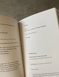 Image 2 of Diary of a Steak by DEBORAH LEVY