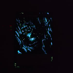 Image of Abyss Dweller Glow in the Dark Extended Art Card