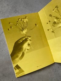 Image 2 of Hildegard Press 03 EMMA KUNZ