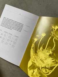 Image 3 of Hildegard Press 03 EMMA KUNZ