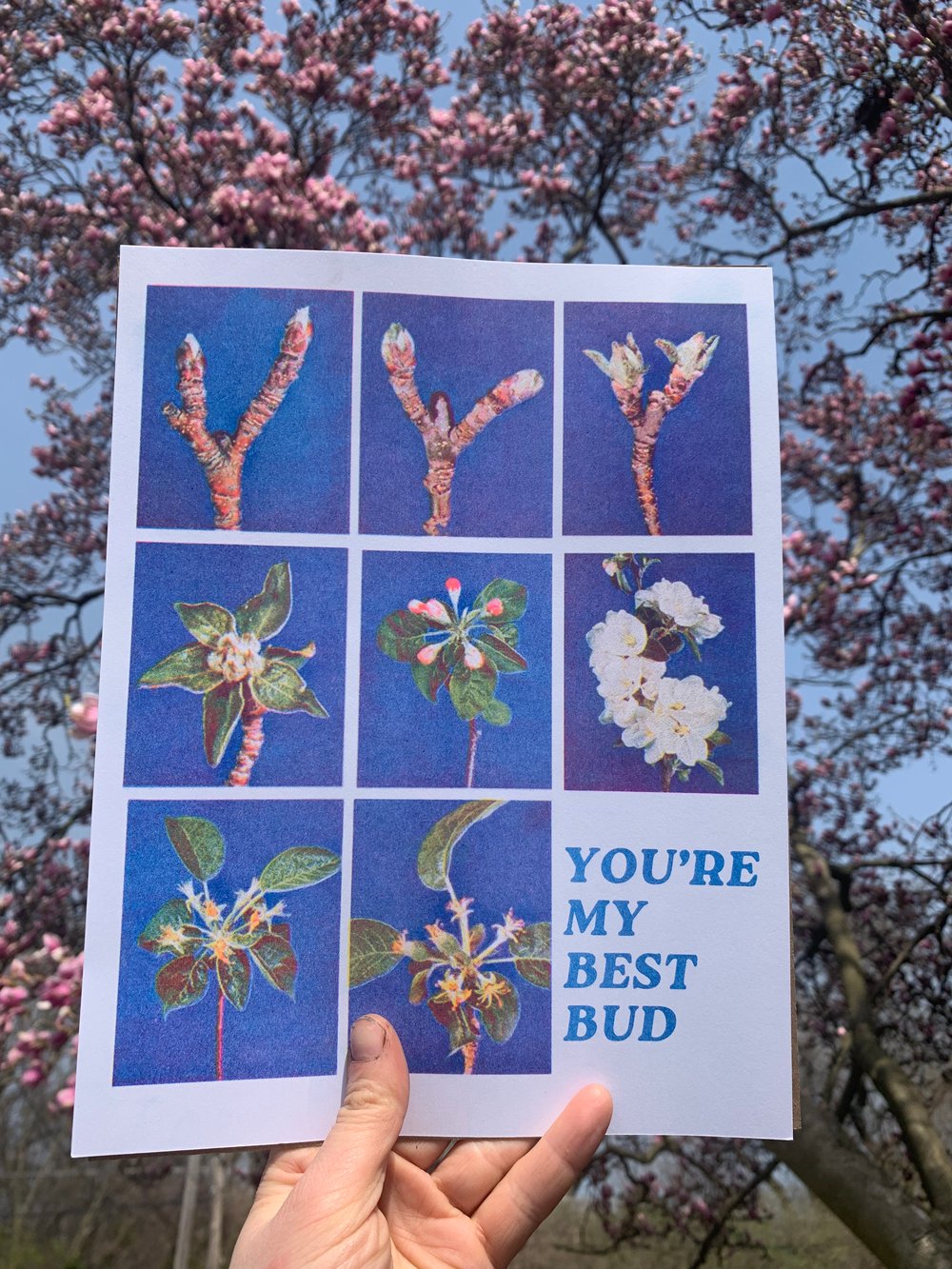 Best Bud
