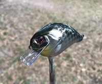 Image 3 of SPEEDBAITS Custom Airbrushed Crankbait V2